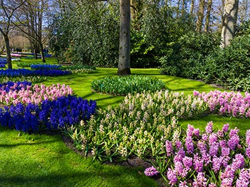 jardineria.jpg
